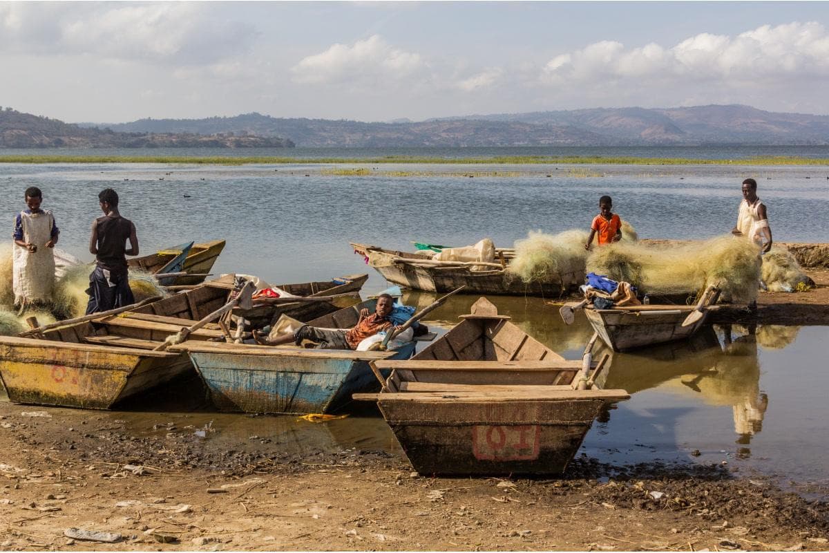 Fish Market at Hawassa Lake