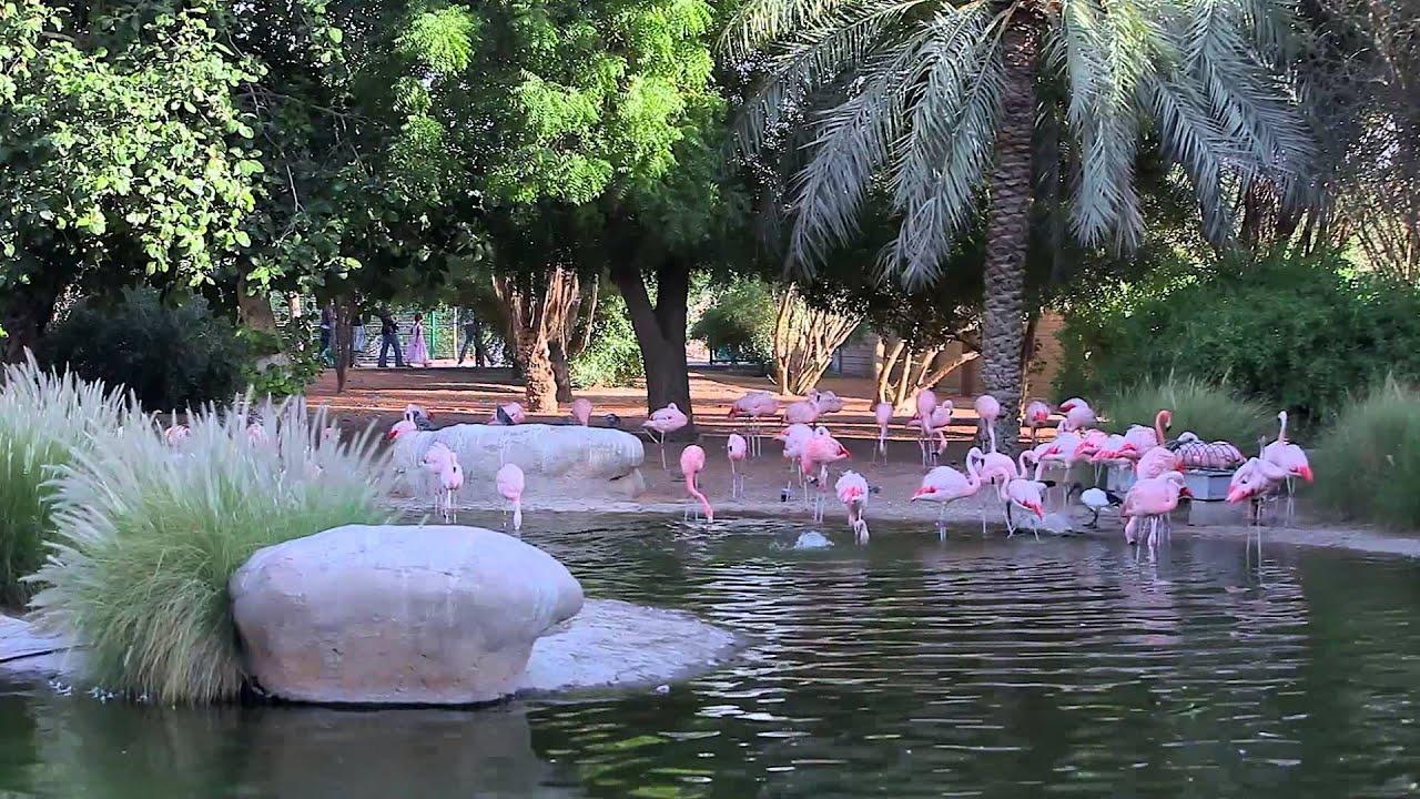 Al Ain Zoo (Temporarily Closed)