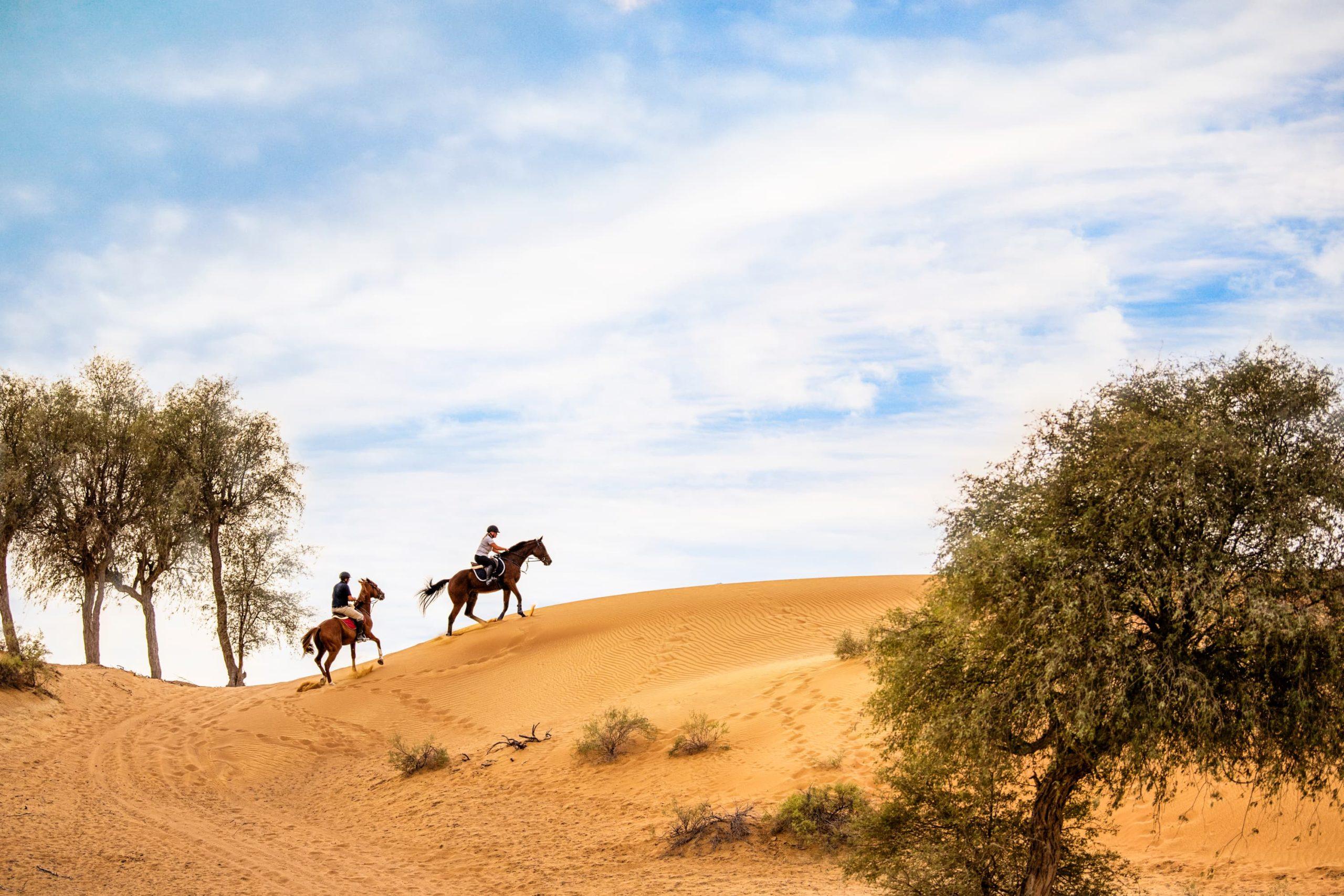 Al Wadi Equestrian Center