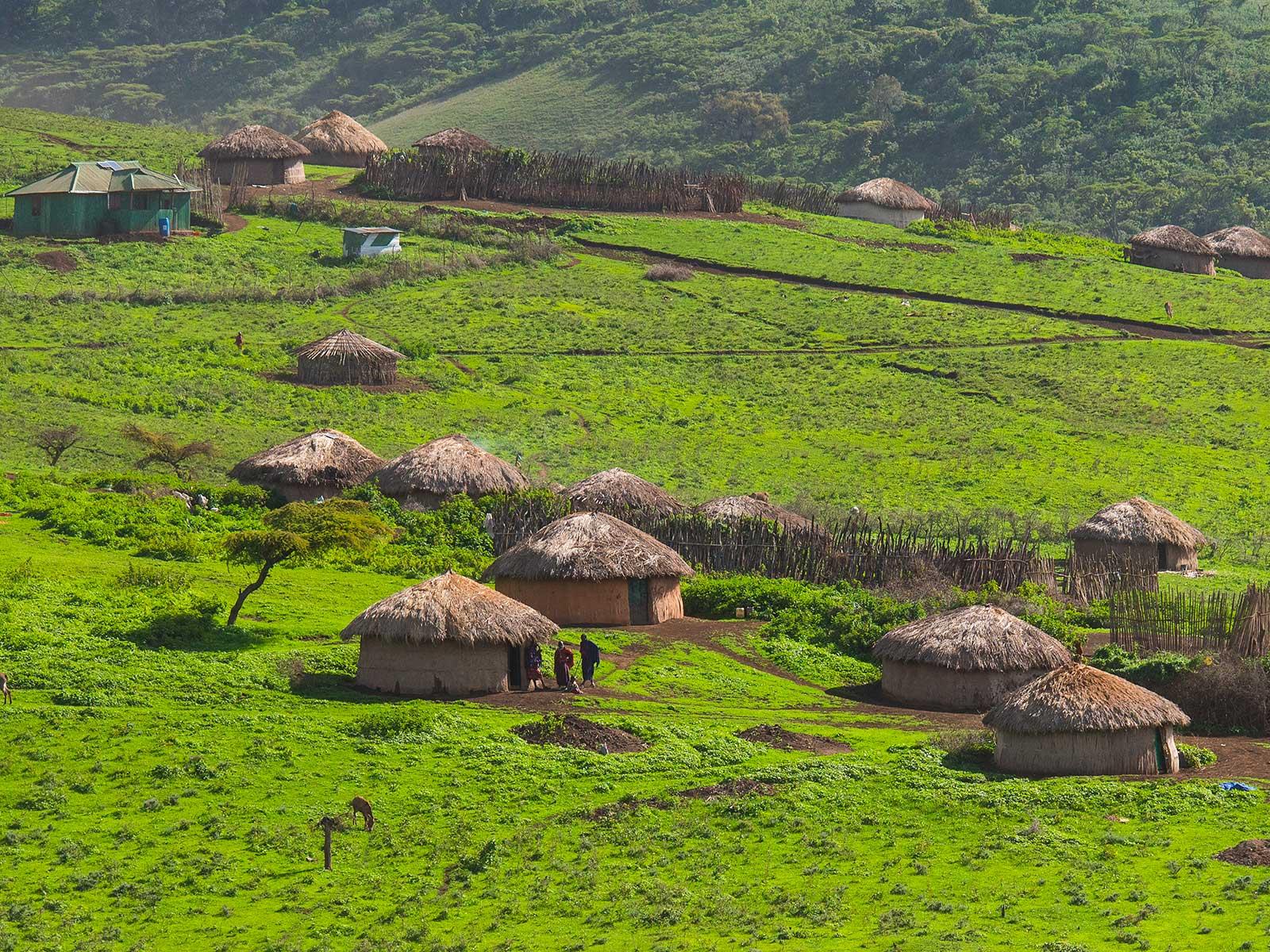 Makumbusho Village Museum