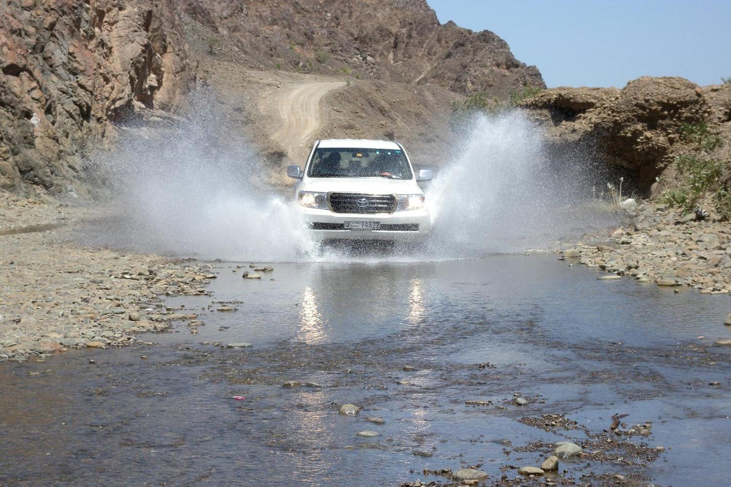 Mountain Safari