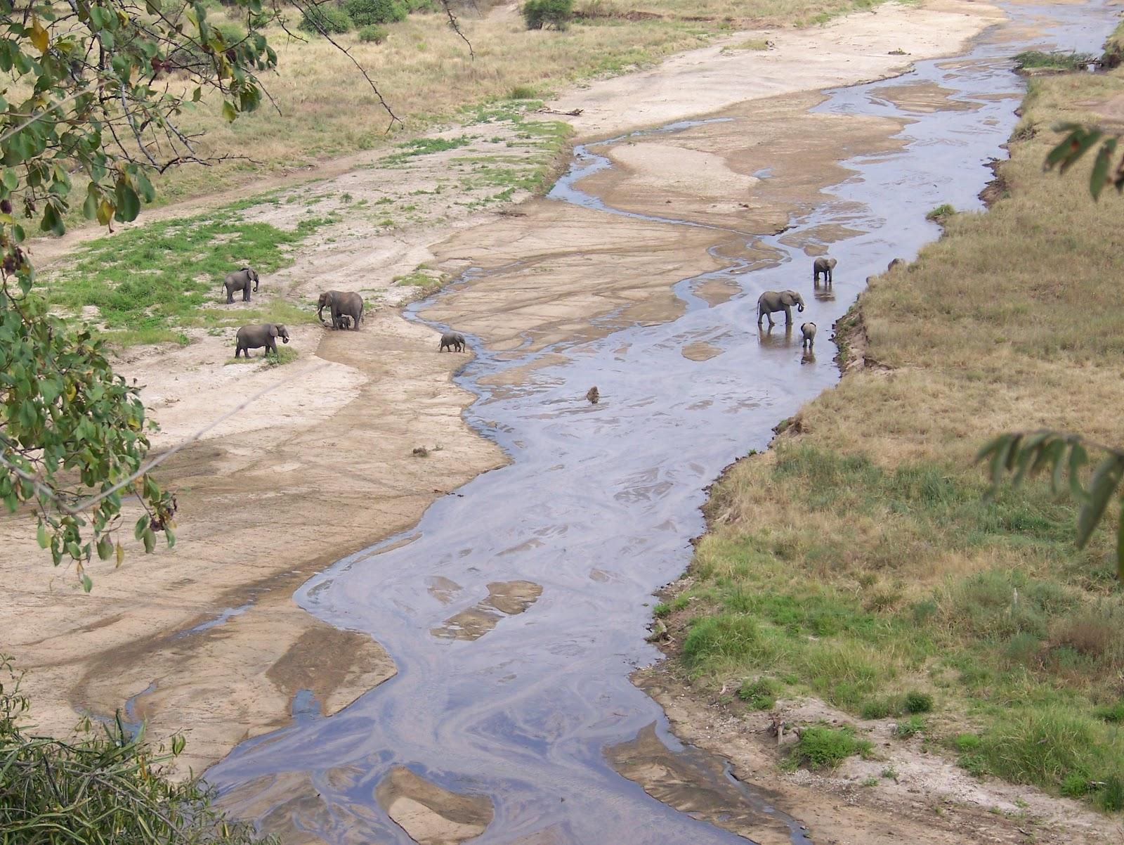 Mto Tarangire