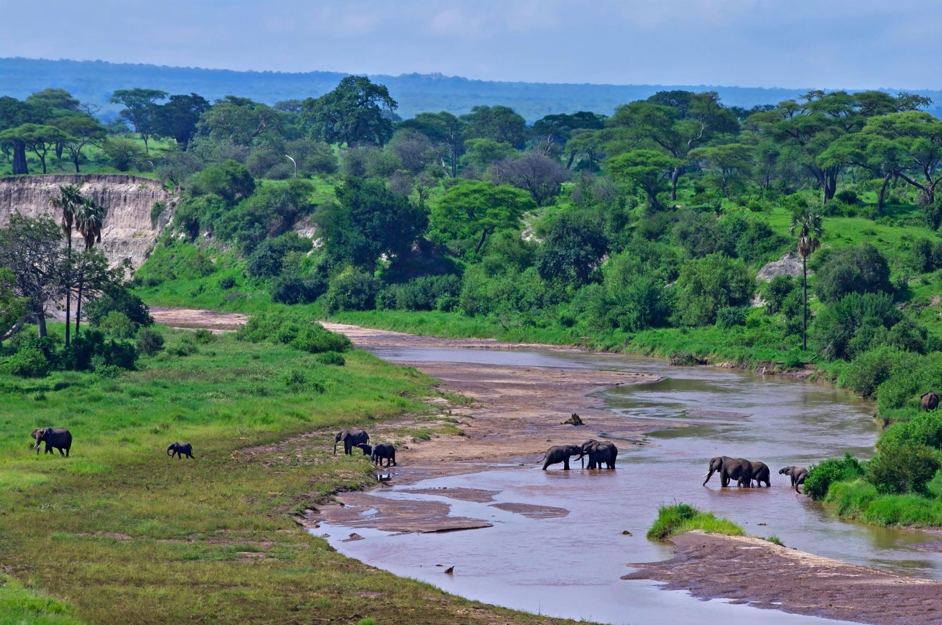 Tarangire National Park