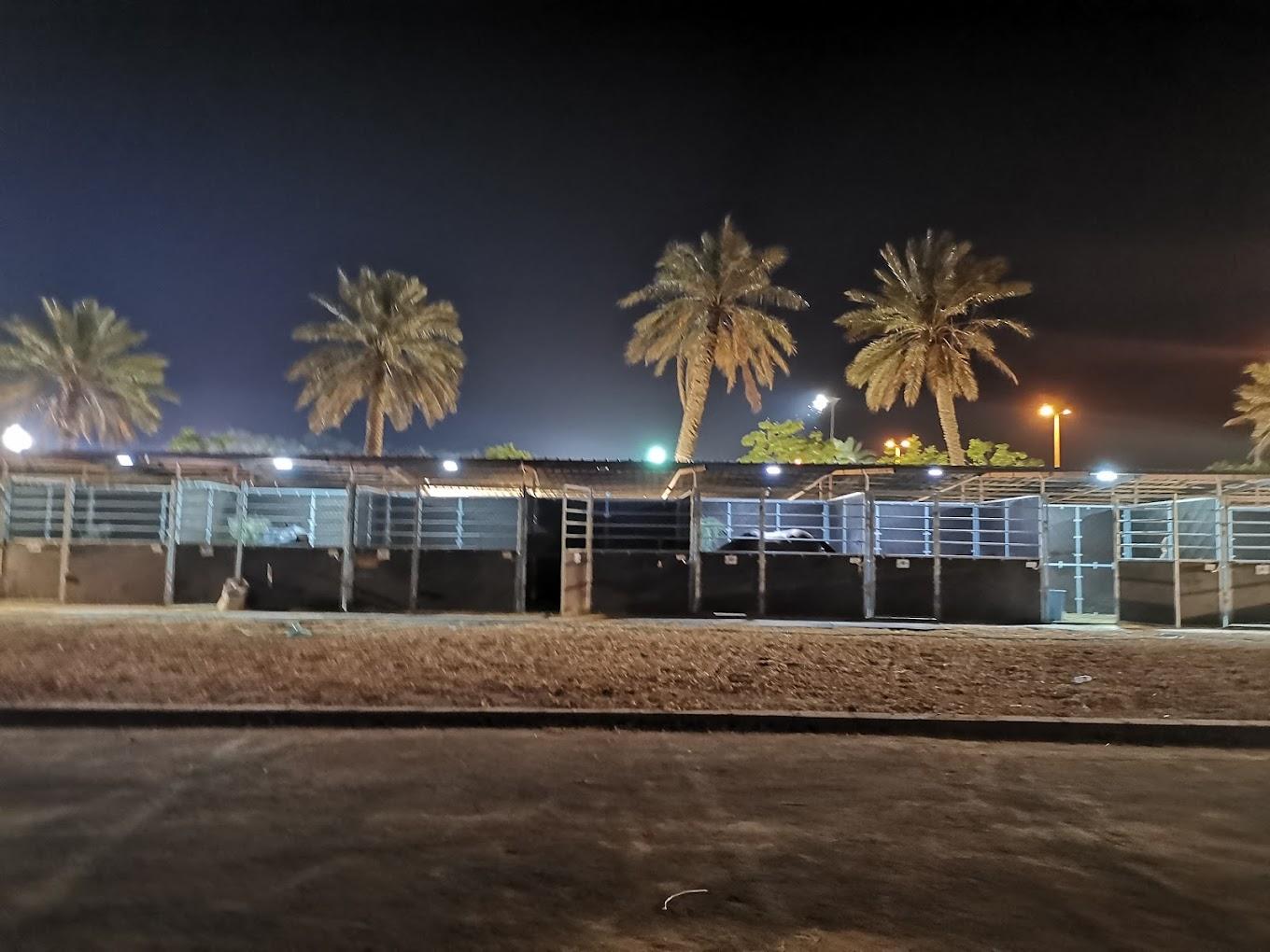 Al Jawhara Equestrian Club