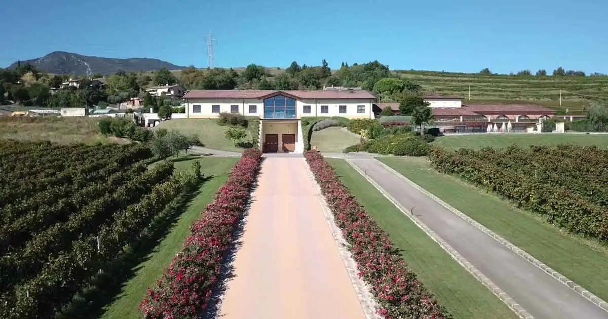 Azienda Agricola Monte Zovo