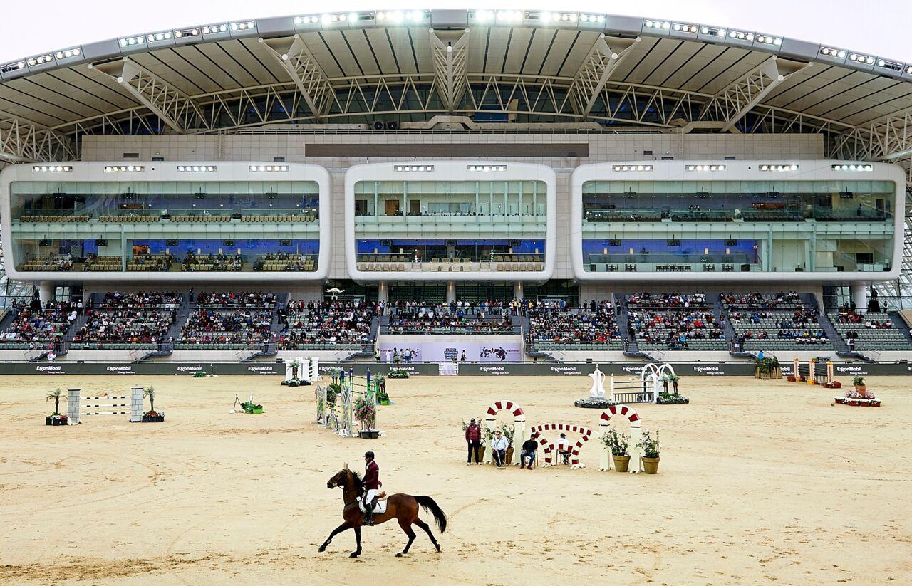 Discover the glory of Al Shaqab