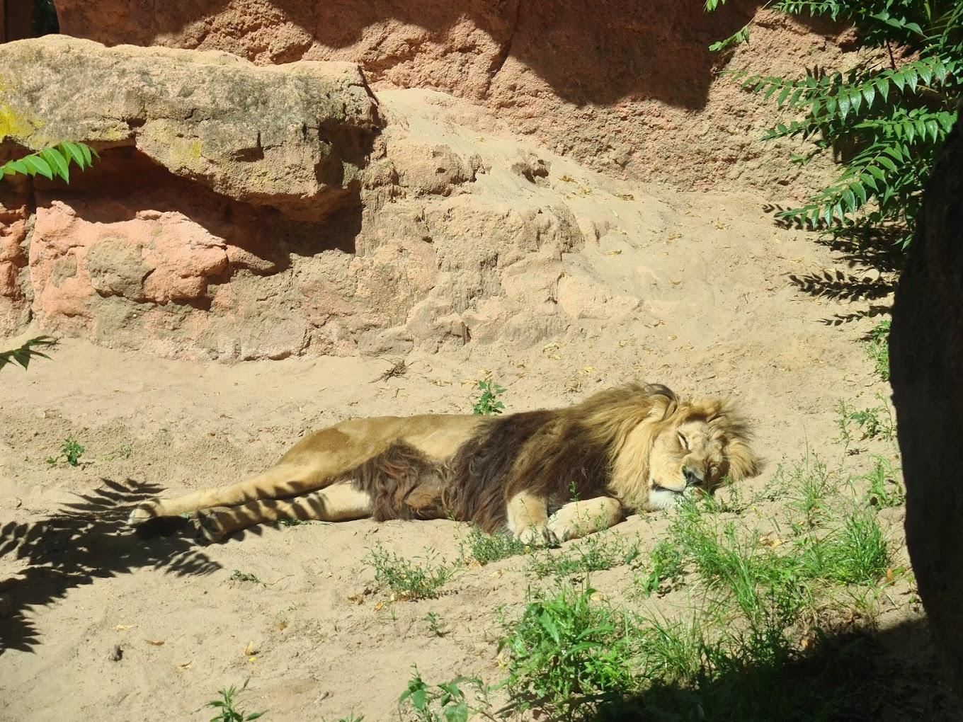 Erlebniszoo Hannover