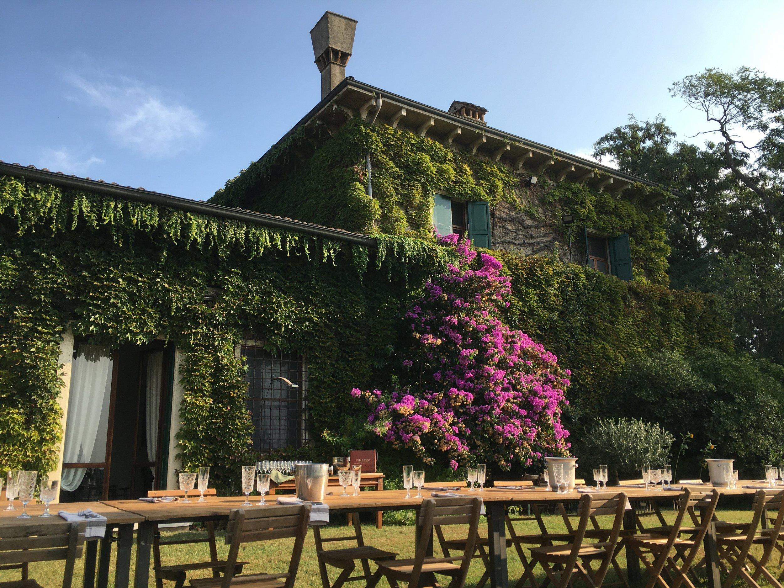 Le vigne di san Pietro