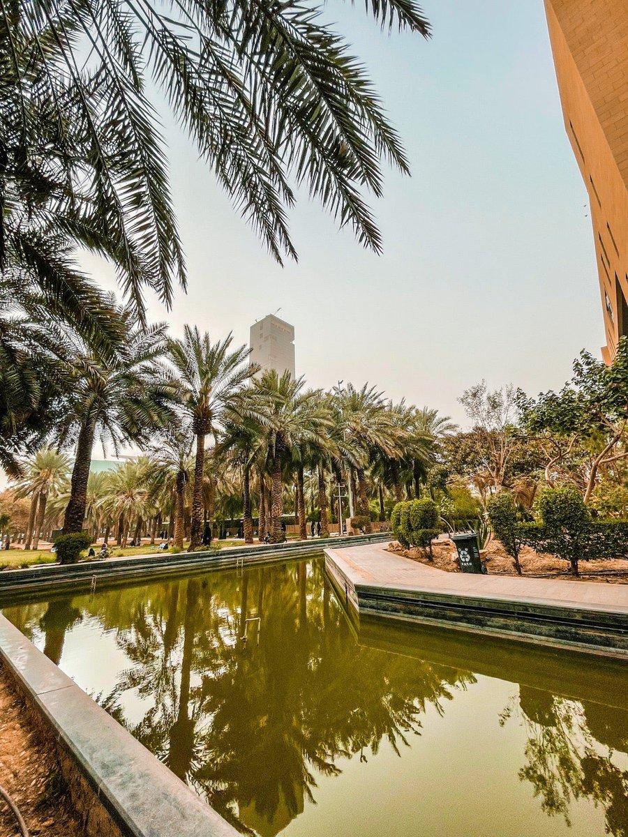 Najd Oasis Walk and Park