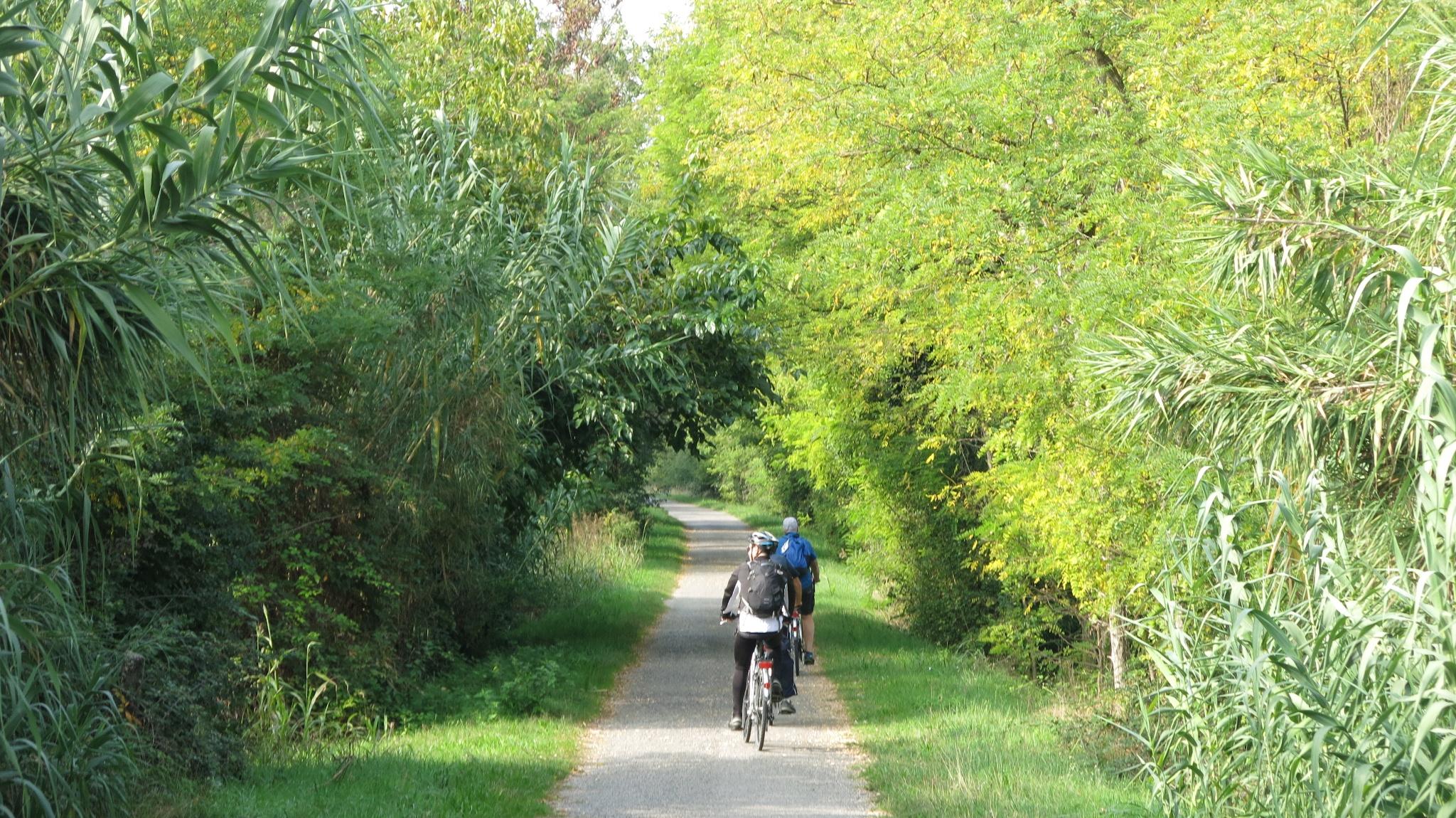 Peschiera del Garda