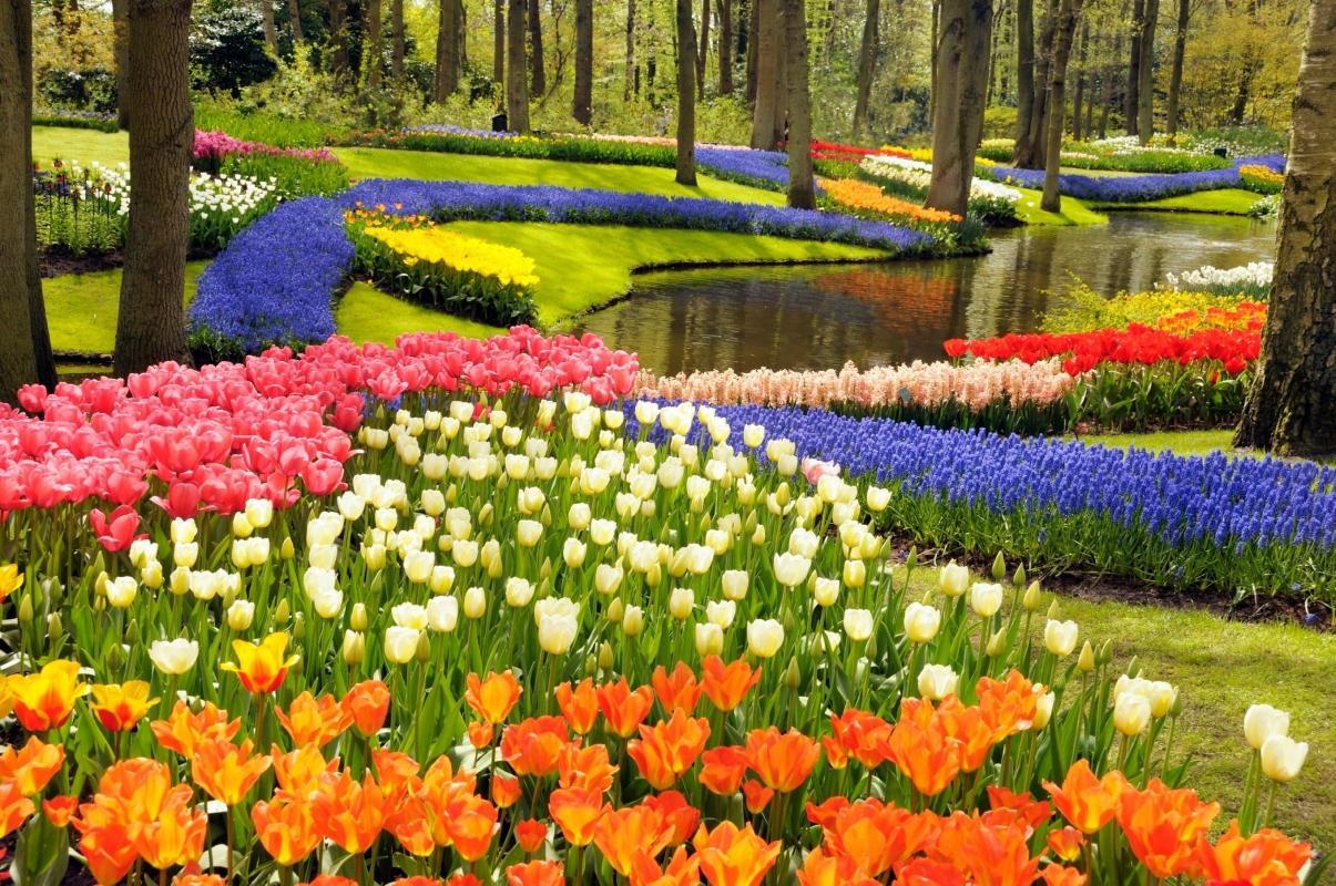 Keukenhof-Gärten