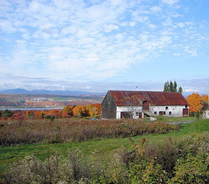 Orleans Island (Ile d'Orléans)