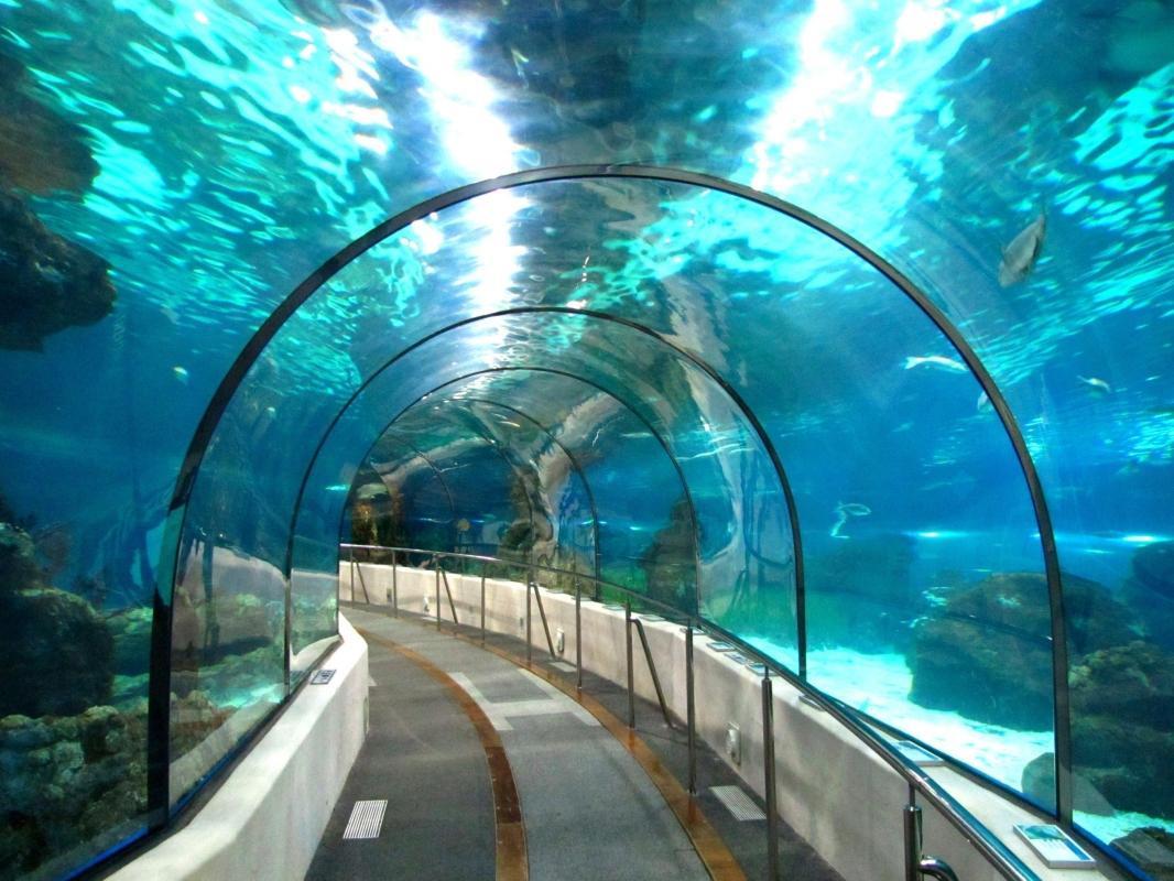 San Sebastián Aquarium