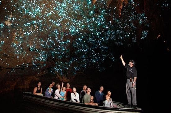 Te Anau Glowworm Caves