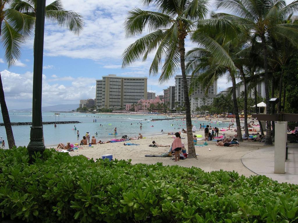 Waikiki Beach