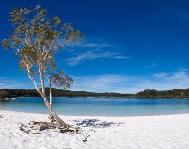 Fraser Island