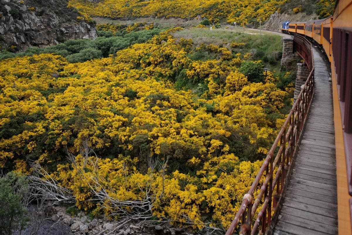 Taieri Gorge Railway