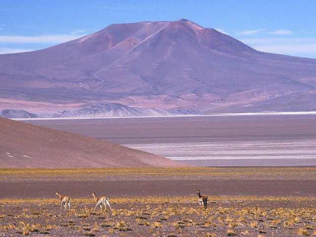 Nevado Tres Cruces National Park (Parque Nacional Nevado Tres Cruces)