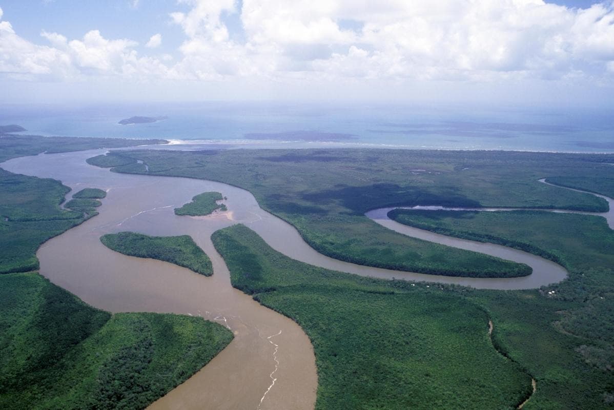 Daintree Rainforest