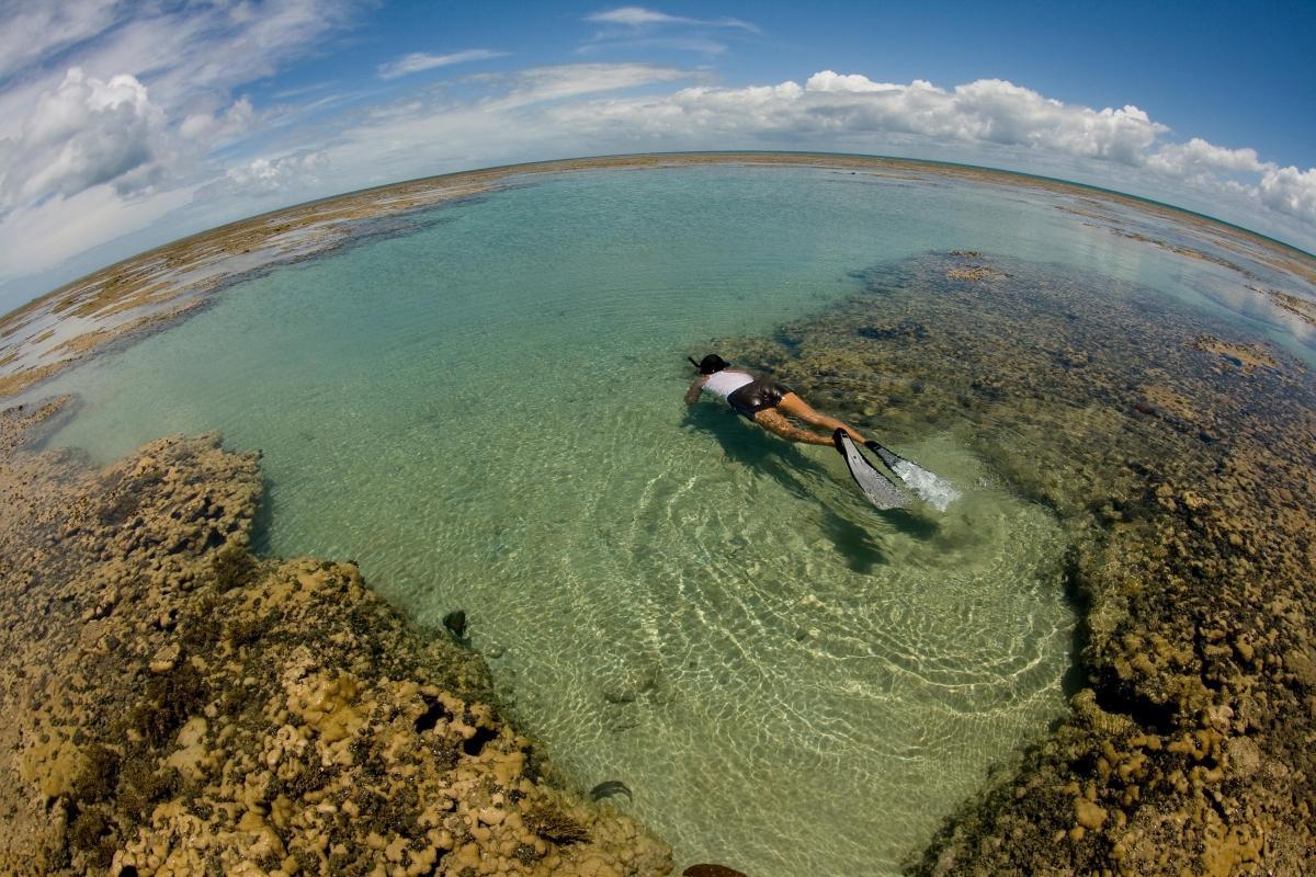 Maracajaú Reef (Parrachos de Maracajaú)