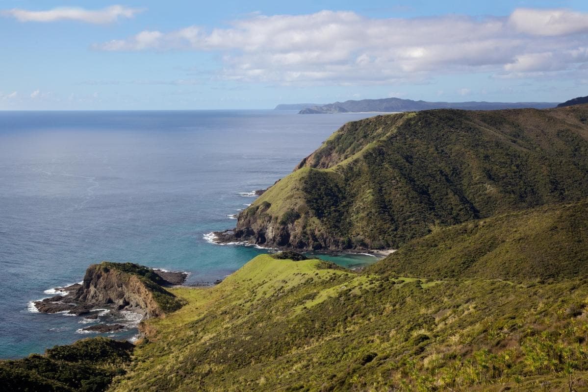 Cape Reinga