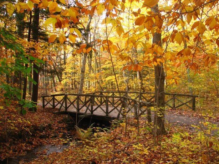 Gatineau Park