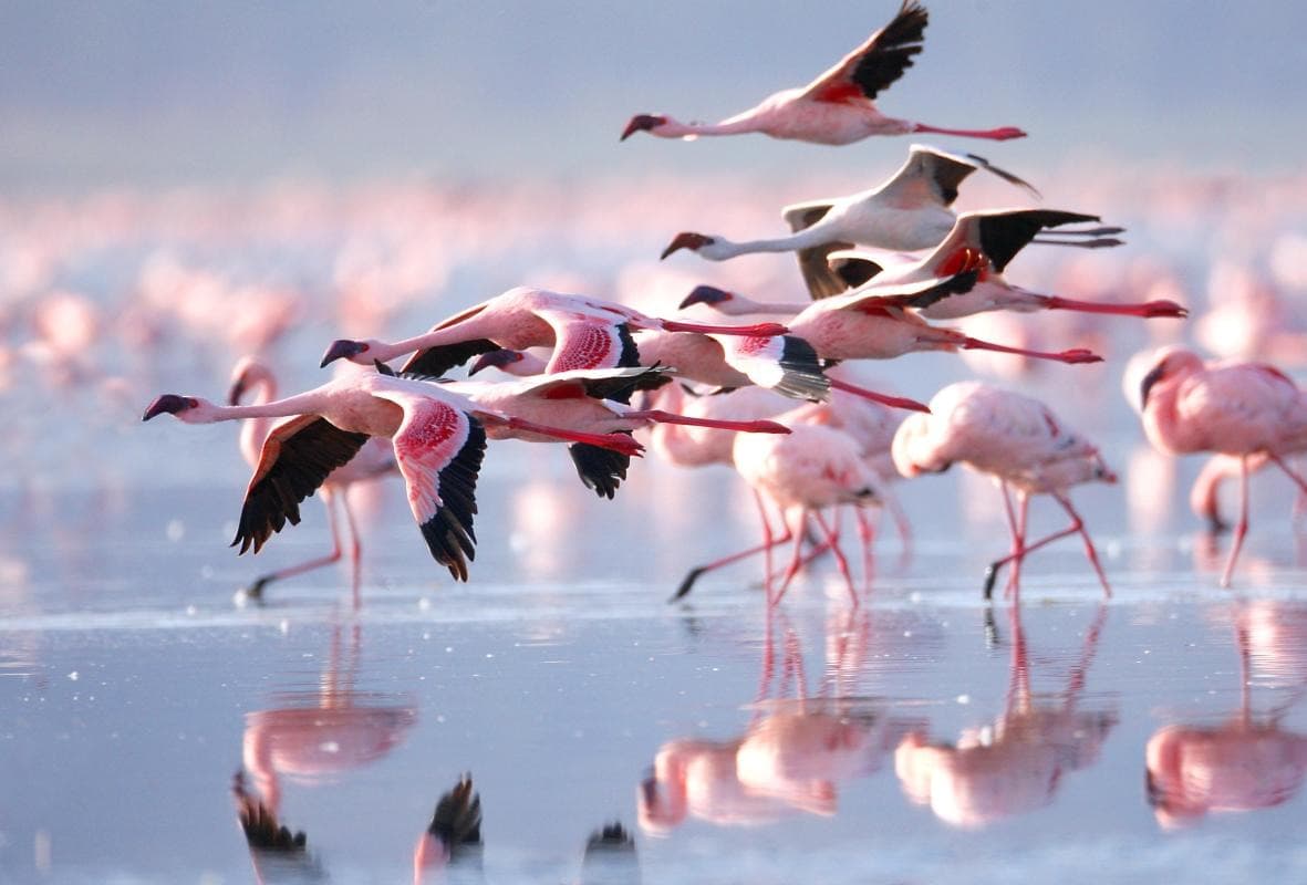 Lake Nakuru National Park