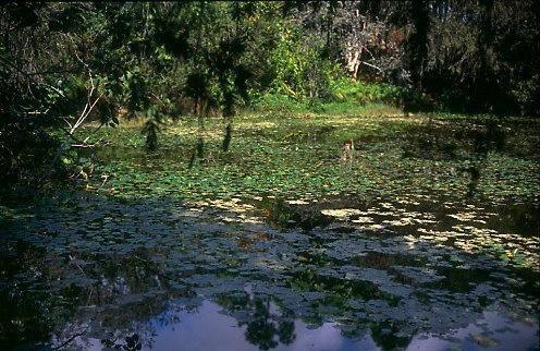 Rand Nature Centre