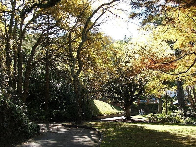 Botanischer Garten Wellington