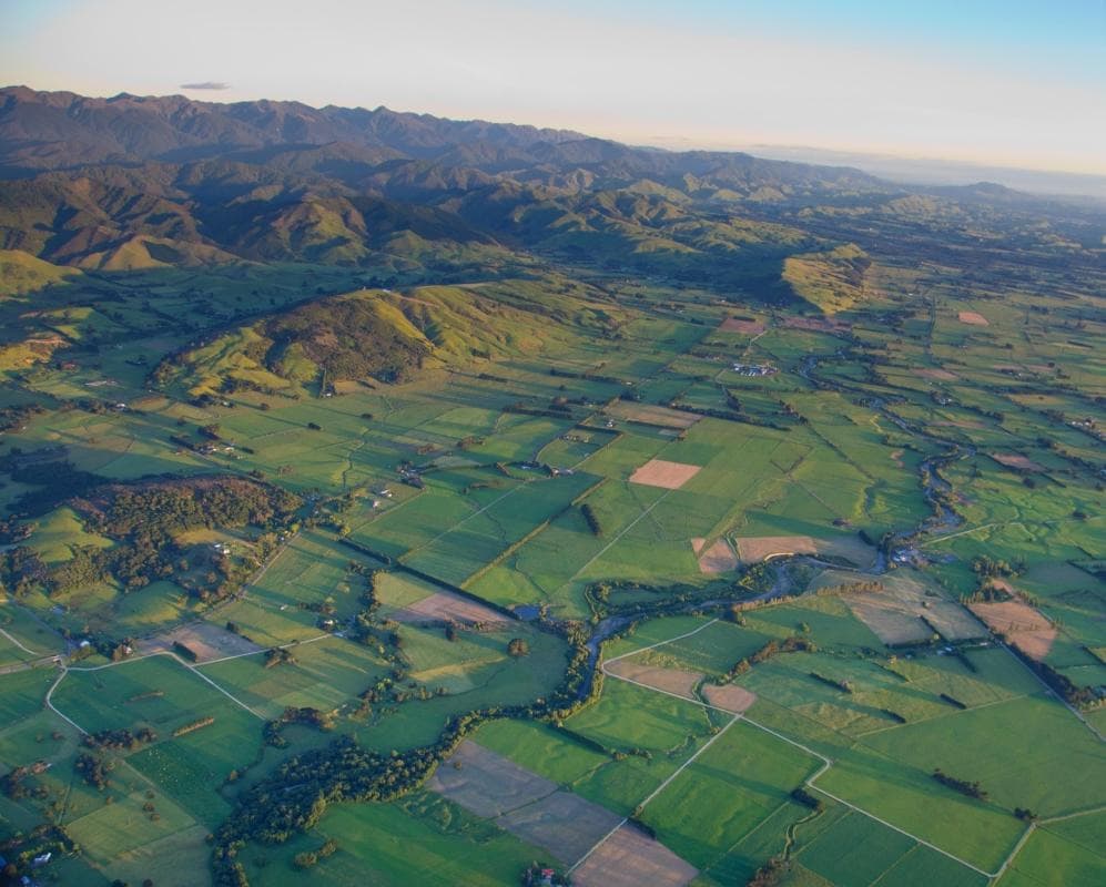 Wairarapa