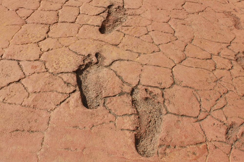 Ancient Footprints of Acahualinca (Huellas de Acahualinca)