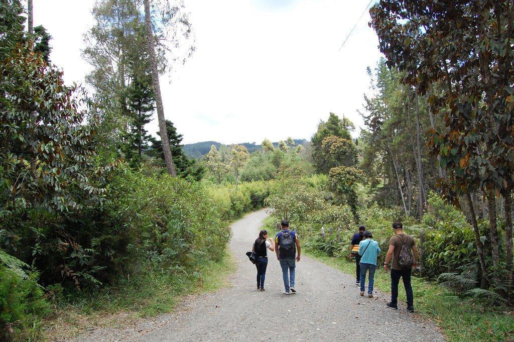 Arvi Park und Piedras Blancas Park