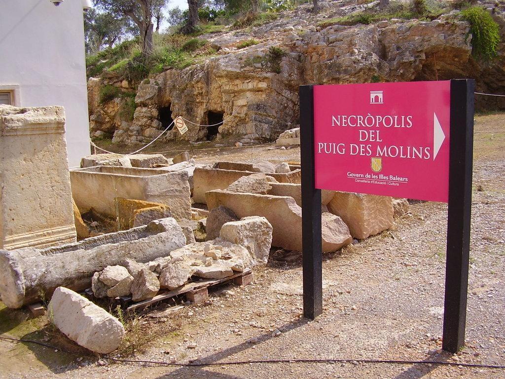 Necropolis of Puig des Molins (Necròpolis del Puig des Molins)