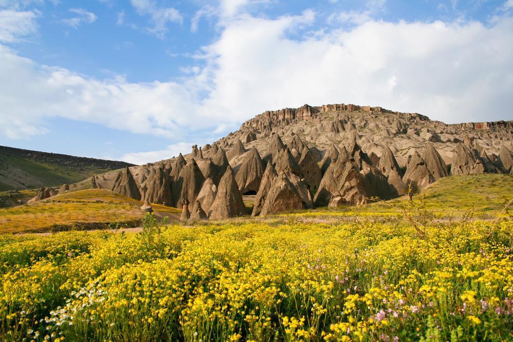 Ihlara Valley (Ihlara Vadisi)