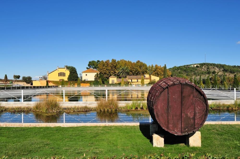 Bodegas Torres