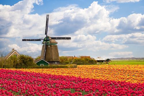 Zaanse Schans