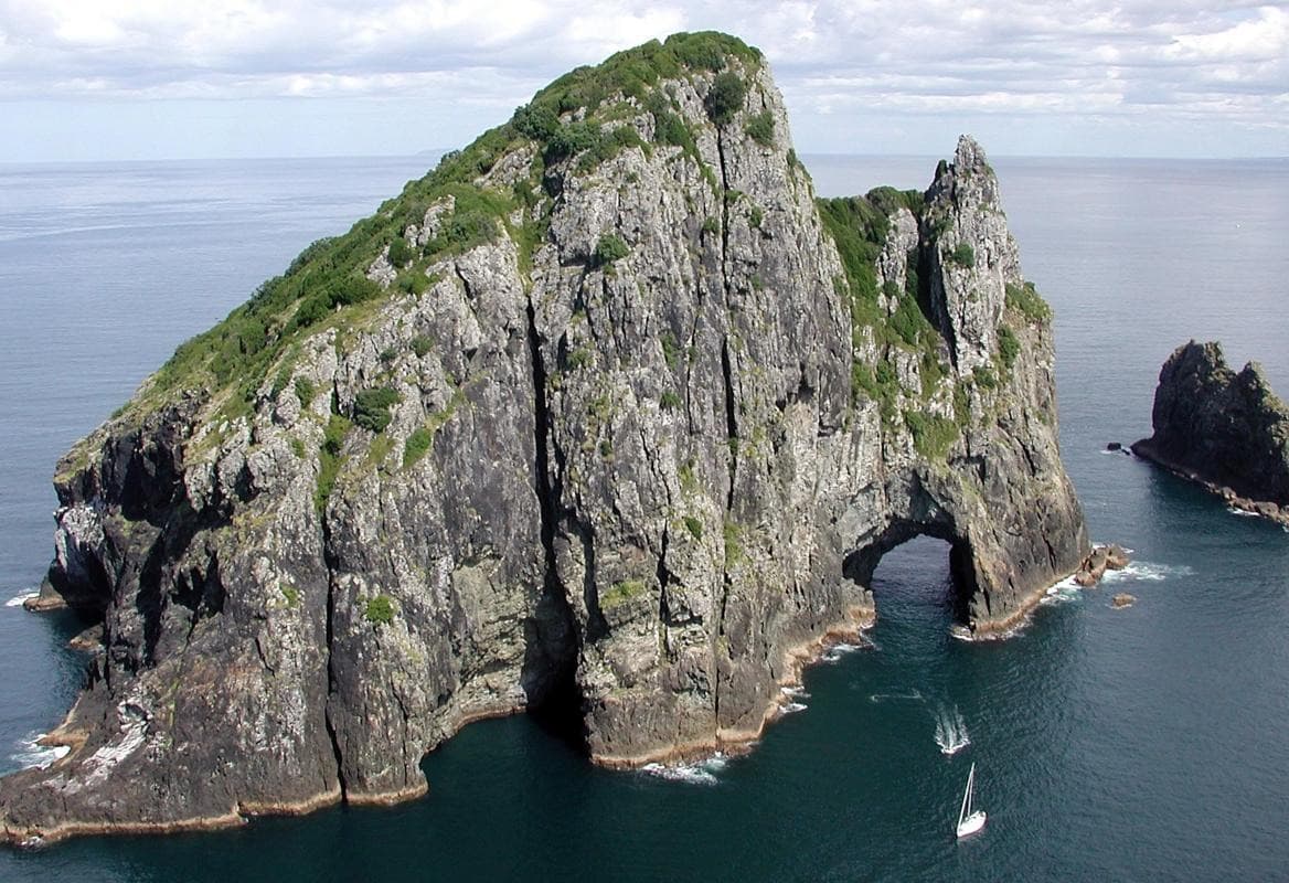 Kreuzfahrthafen Bay of Islands (Waitangi Wharf)