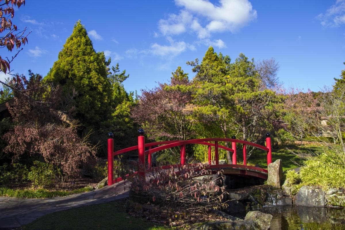 Royal Tasmanian Botanical Gardens