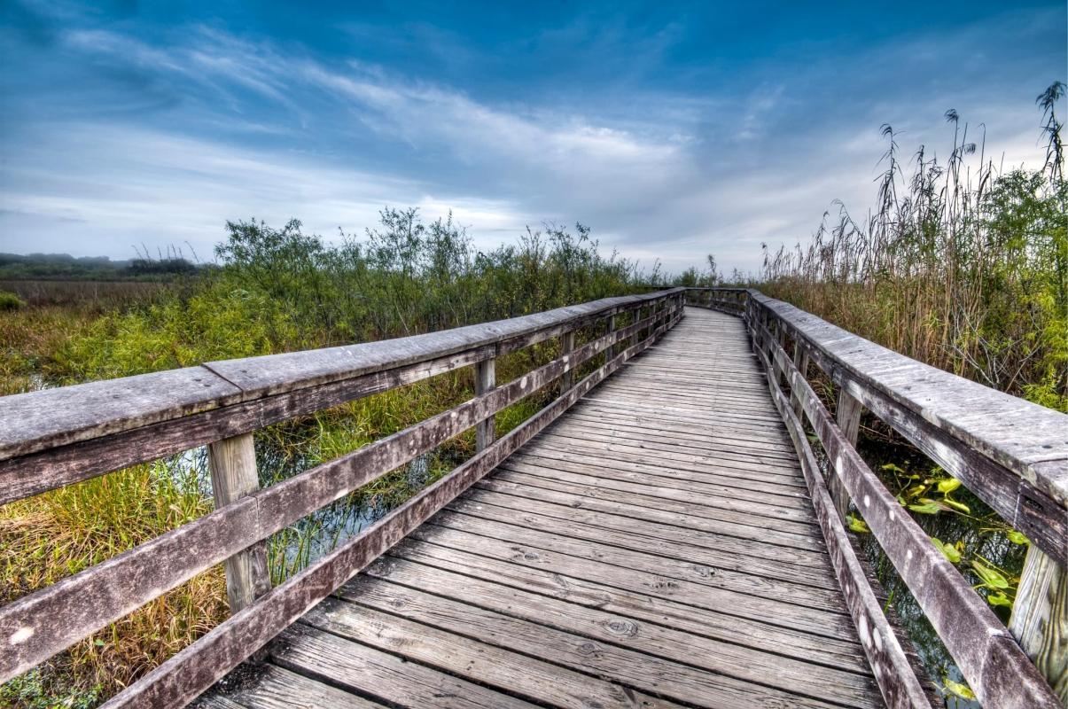 Anhinga Trail