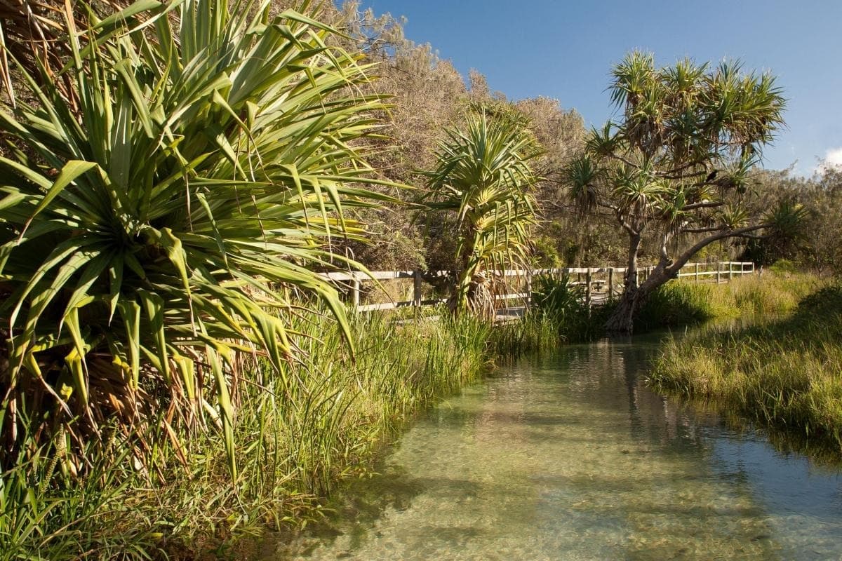 Wanggoolba Creek