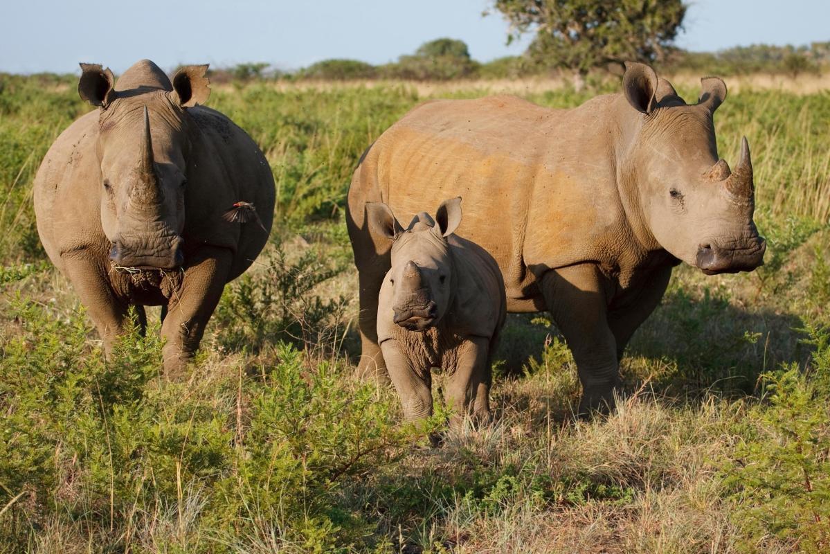 Mosi-oa-Tunya National Park