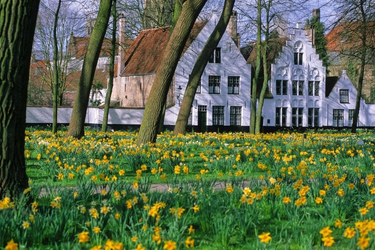 Princely Beguinage Ten Wijngaarde (Begijnhof)