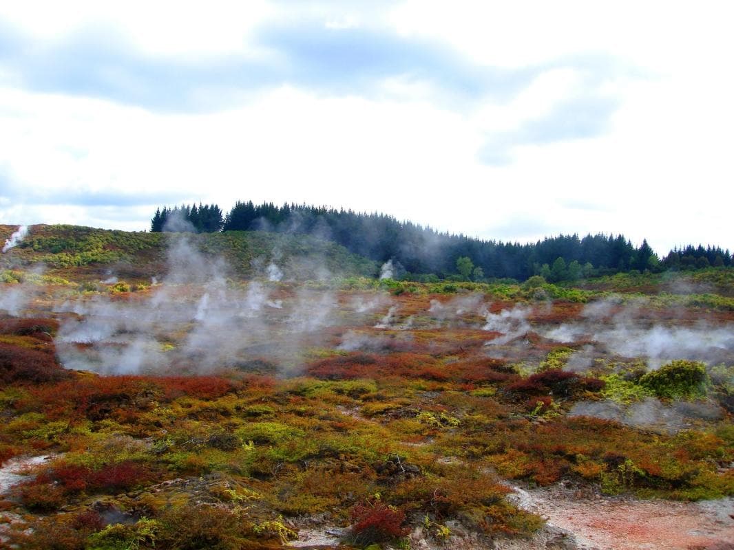 Wairakei Natural Thermal Valley