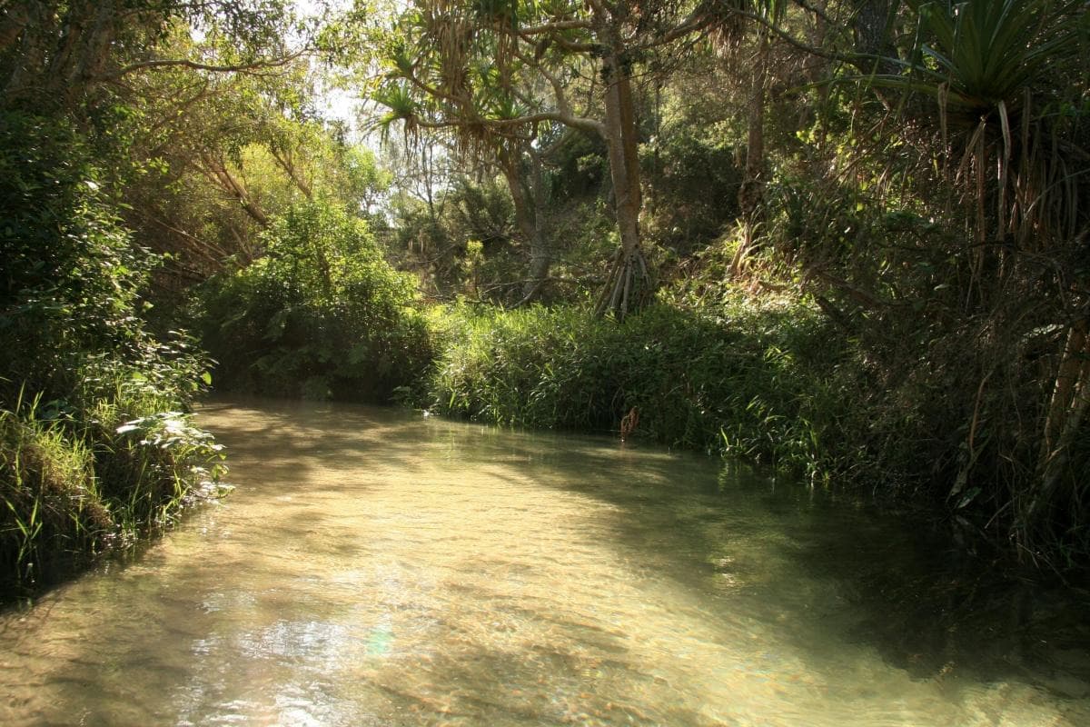 خور ايلي