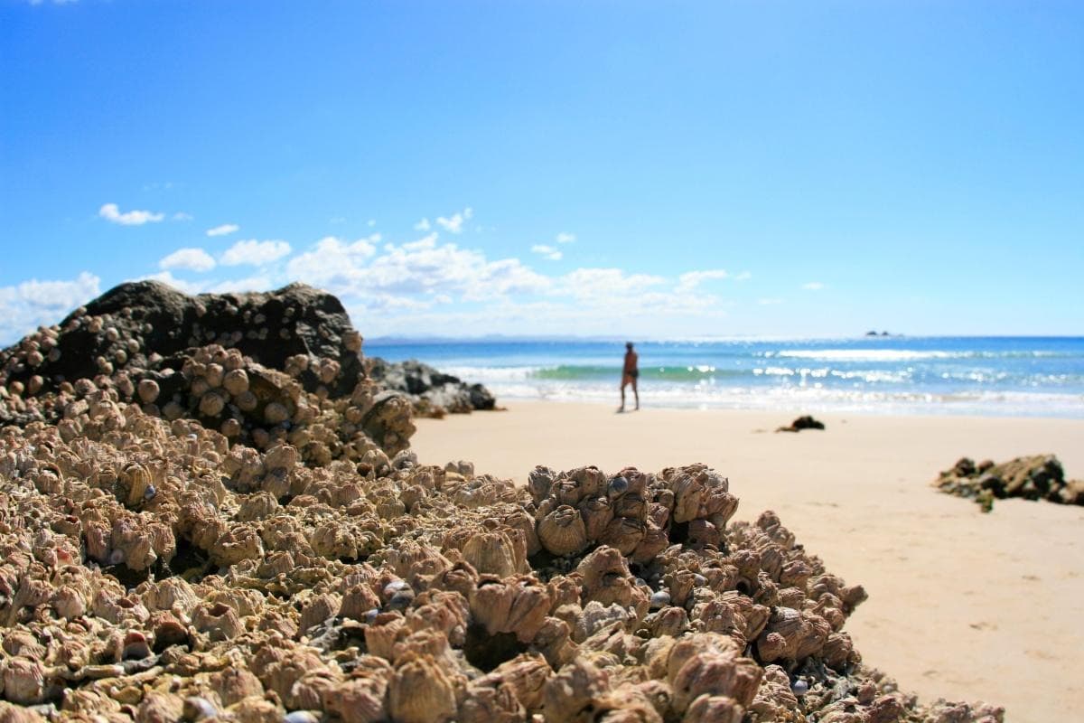 Strand von Belongil