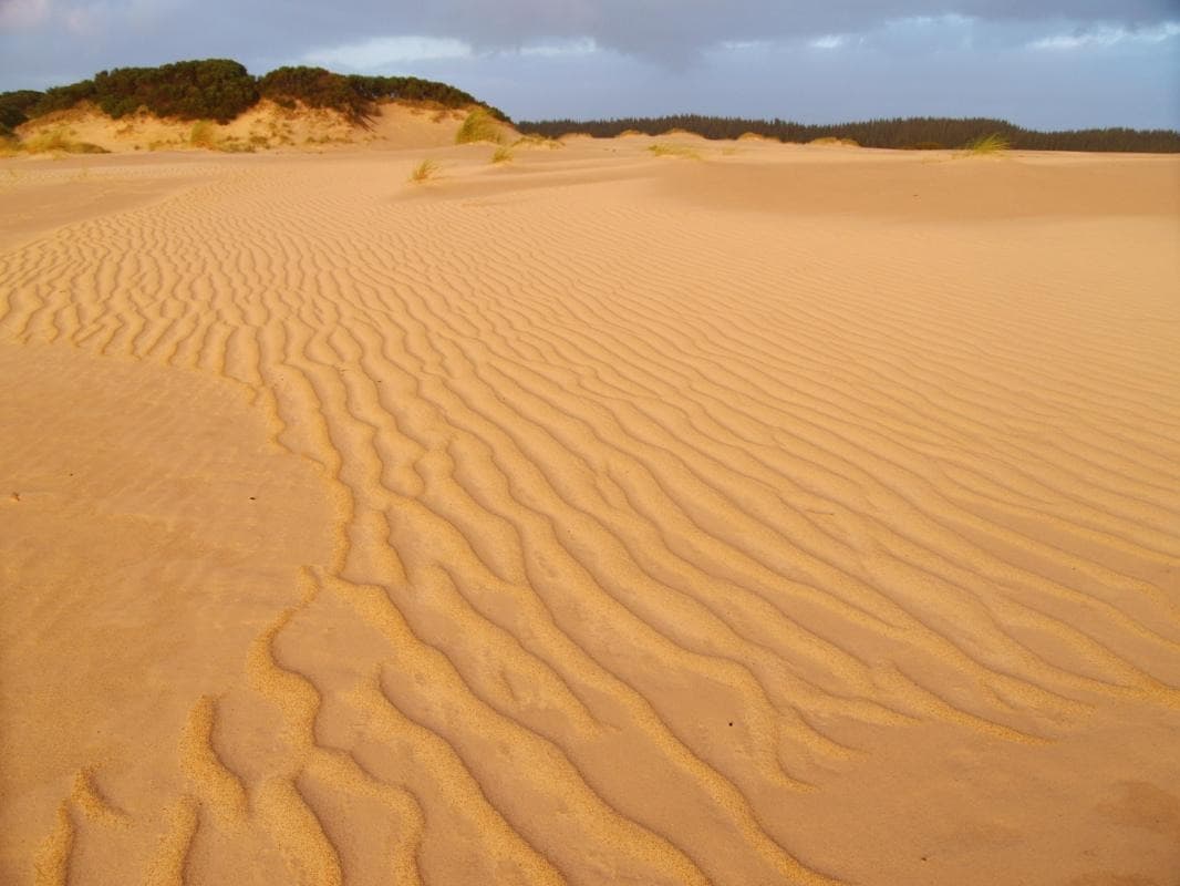 Henty Dunes