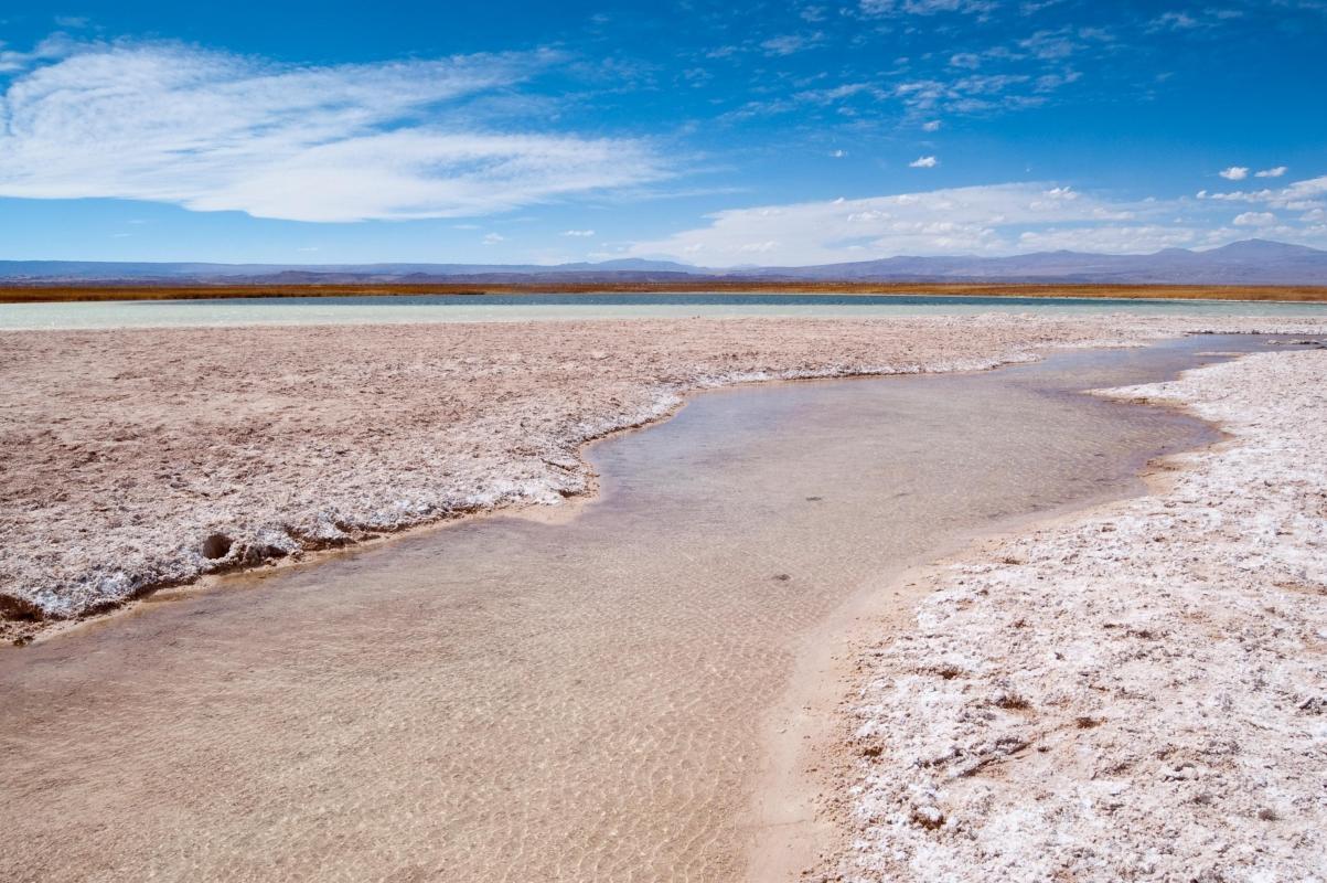 Cejar Lagoon (Laguna Cejar)