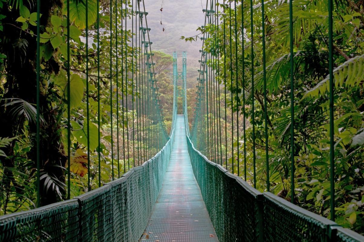 Mistico Arenal Hanging Bridges Park