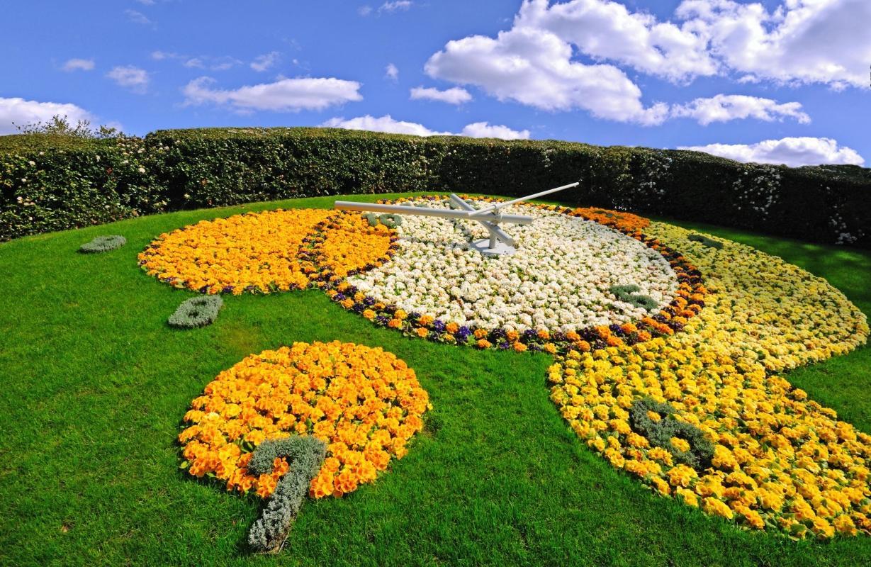 Flower Clock (Horloge Fleurie)