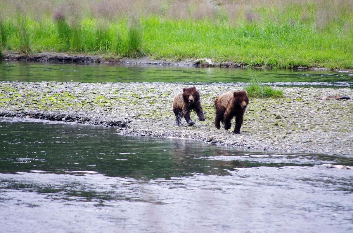 Tongass National Forest